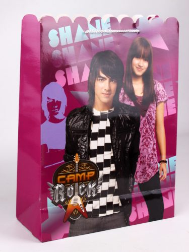 DISNEY PAPÍRTASAK CAMP ROCK - SHANE