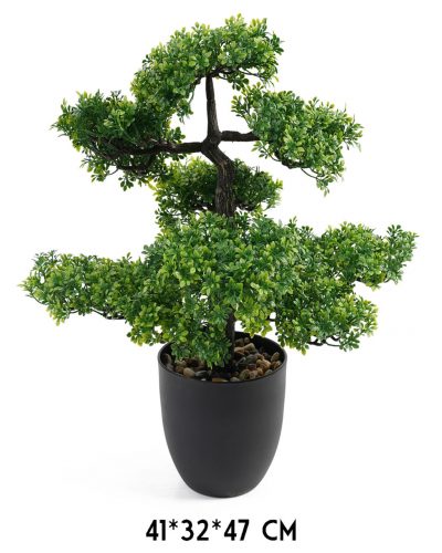 FA BONSAI+CSER.ZÖLD41*32*47