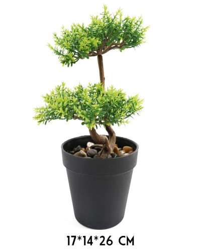 BONSAI FA, CSERÉPPEL, ZÖLD