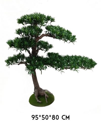 BONSAI FA, CSERÉPPEL, CIPRUS, SÖTÉT ZÖLD